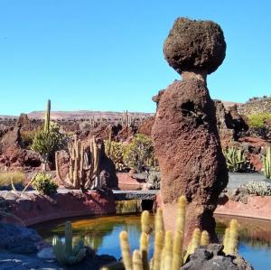 espana/jardin-de-cactus