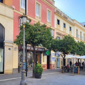 espana/jerez-de-la-frontera/calle-larga