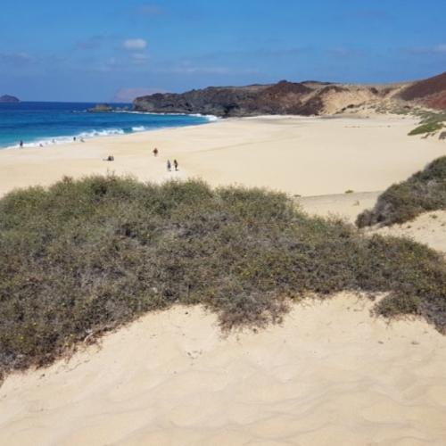 espana/la-graciosa/playa-de-la-lambra