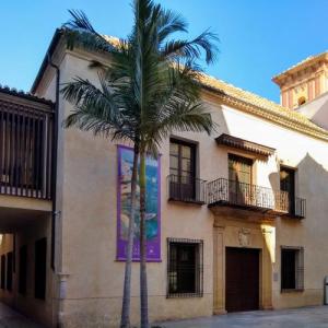 espana/malaga/museo-carmen-thyssen-palacio-villalon