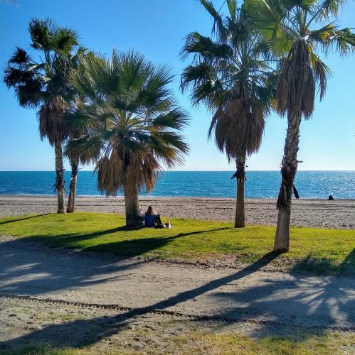 espana/malaga/playa-de-la-caleta