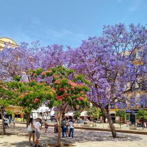 espana/malaga/plaza-de-la-merced