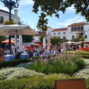 espana/marbella/plaza-de-los-naranjos