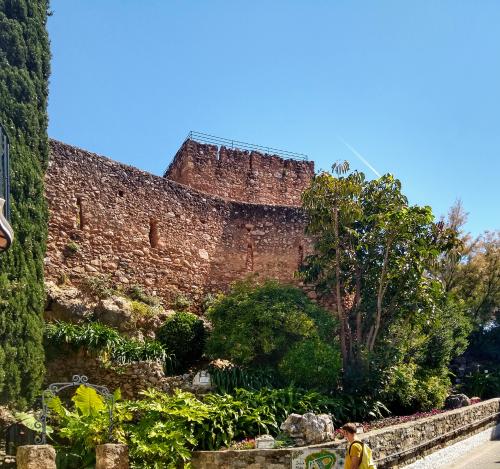 espana/mijas/torre