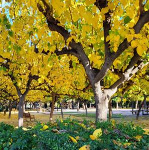 espana/murcia/jardin-de-la-seda