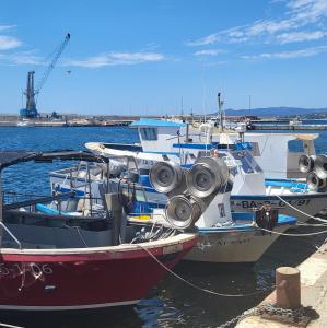 espana/palamos/port-pesquer