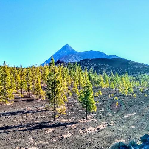 espana/parque-nacional-del-teide/perspectiva-samara