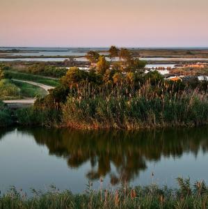 espana/parque-natural-del-delta-del-ebro
