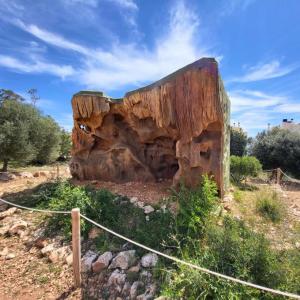 espana/rincon-de-la-victoria/parque-arqueologico-del-mediterraneo-panorama