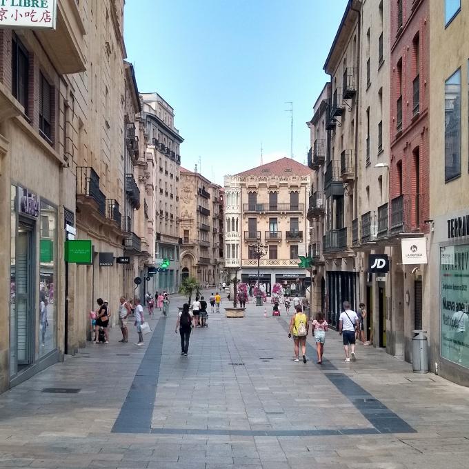 espana/salamanca/calle-toro