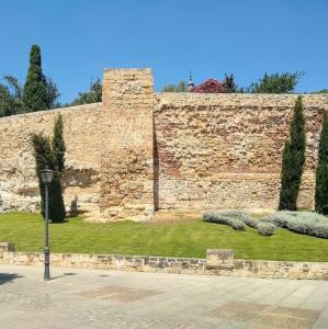 espana/salamanca/murallas-del-siglo-12