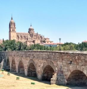 espana/salamanca/puente-romano-panorama