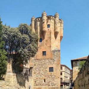 espana/salamanca/torre-del-clavero