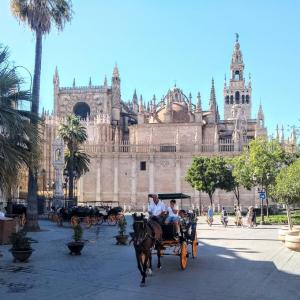 espana/sevilla/catedral