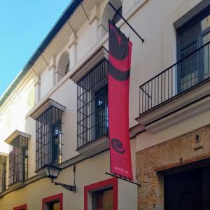 espana/sevilla/museo-del-baile-flamenco-cristina-hoyos