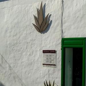 espana/teguise/museo-del-aloe-vera