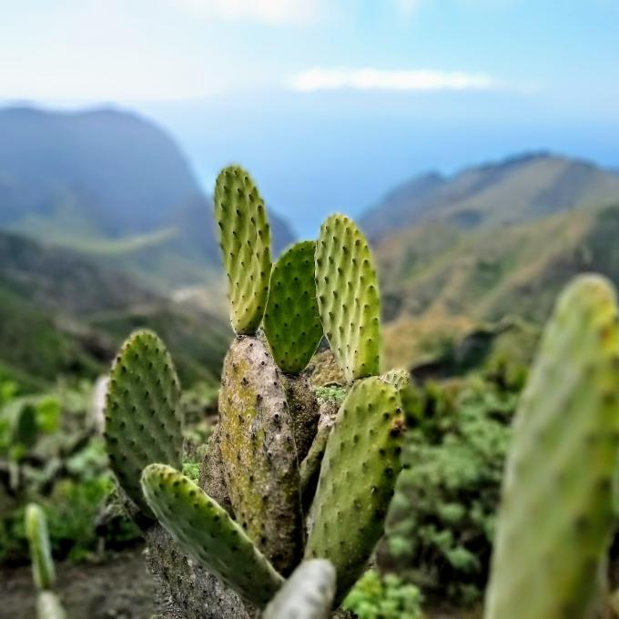 espana/tenerife