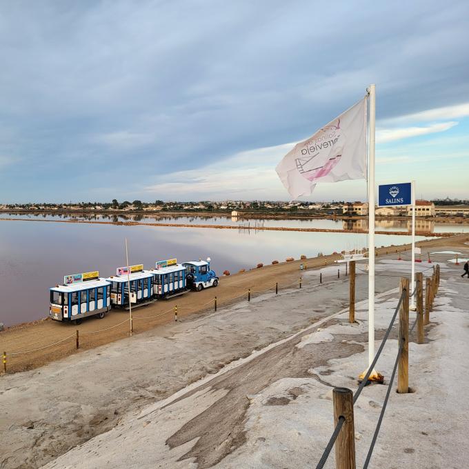 espana/torrevieja/tren-de-las-salinas