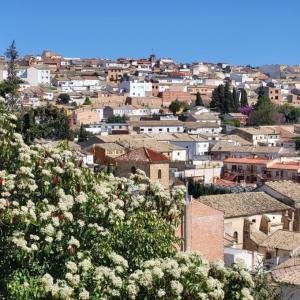 espana/ubeda/muralla-panorama