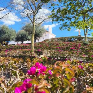 espana/velez-malaga/ermita-de-nuestra-senora-de-los-remedios