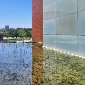 espana/zaragoza/acuario