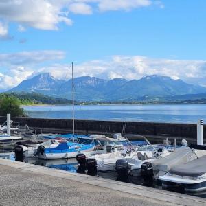 france/auvergne-rhone-alpes/aix-les-bains/petit-port