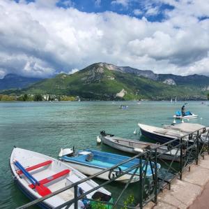 france/auvergne-rhone-alpes/annecy/jardins-de-l-europe