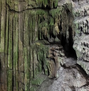 france/auvergne-rhone-alpes/aven-de-la-forestiere