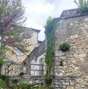 france/auvergne-rhone-alpes/bellegarde-sur-valserine/chateau-de-musinens