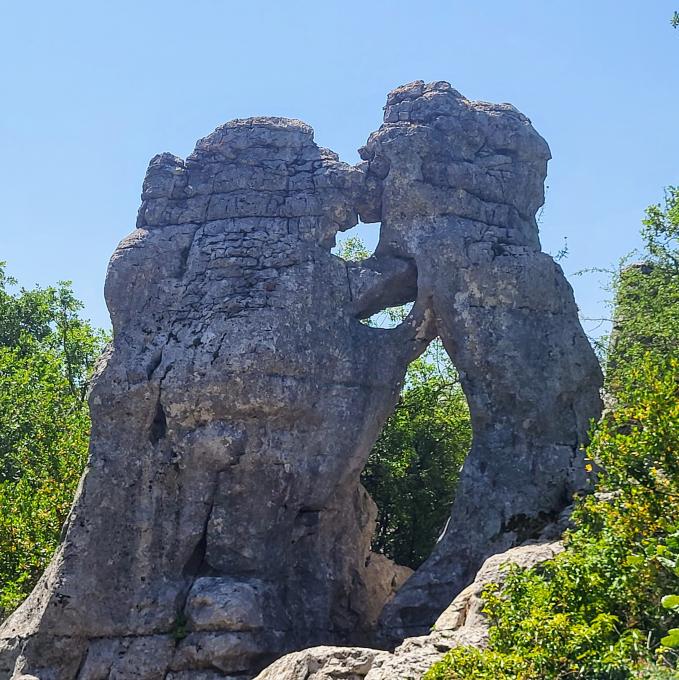 france/auvergne-rhone-alpes/bois-de-paiolive/l-ours-et-le-lion