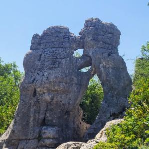 france/auvergne-rhone-alpes/bois-de-paiolive/l-ours-et-le-lion