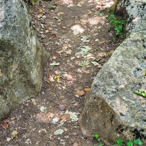 france/auvergne-rhone-alpes/bois-de-paiolive/sentier-de-saint-eugene