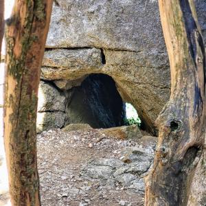 france/auvergne-rhone-alpes/bois-de-paiolive/tour-de-la-presqu-ile
