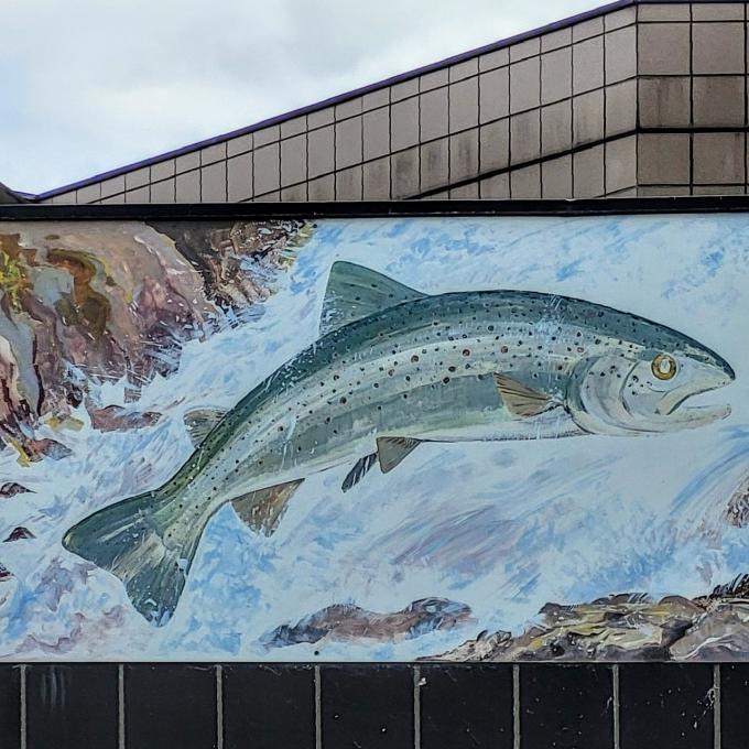 france/auvergne-rhone-alpes/brioude/aquarium-maison-du-saumon