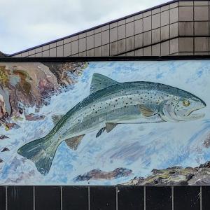 france/auvergne-rhone-alpes/brioude/aquarium-maison-du-saumon