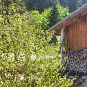 france/auvergne-rhone-alpes/champagny-en-vanoise