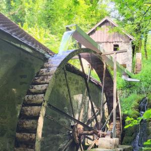 france/auvergne-rhone-alpes/chanaz/moulin-de-chanaz