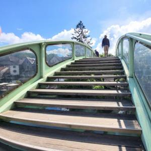 france/auvergne-rhone-alpes/chanaz/passerelle-en-arche