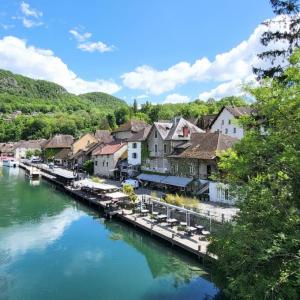 france/auvergne-rhone-alpes/chanaz/passerelle-en-arche