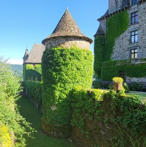 france/auvergne-rhone-alpes/chateau-de-pesteils