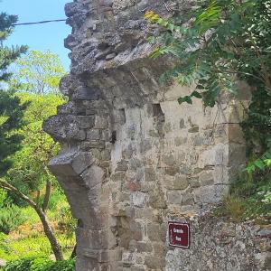 france/auvergne-rhone-alpes/chateauneuf-de-mazenc/portail-neuf