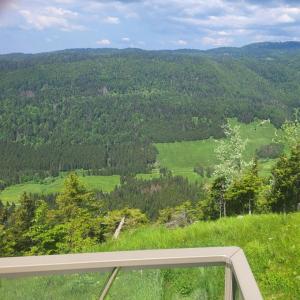 france/auvergne-rhone-alpes/col-de-la-faucille