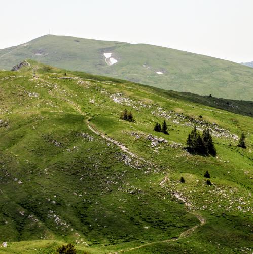 france/auvergne-rhone-alpes/colomby-de-gex