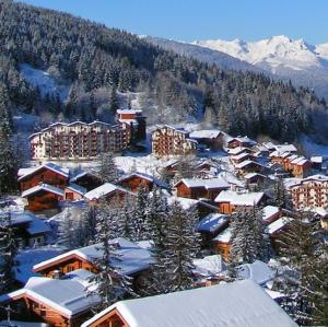 france/auvergne-rhone-alpes/courchevel/la-tania