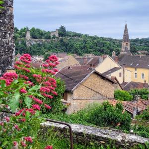 france/auvergne-rhone-alpes/cremieu