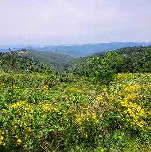 france/auvergne-rhone-alpes/eyrieux/col-de-la-mure