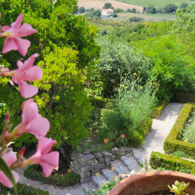 france/auvergne-rhone-alpes/la-garde-adhemar/jardin-des-herbes