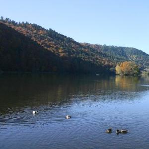france/auvergne-rhone-alpes/lac-chambon