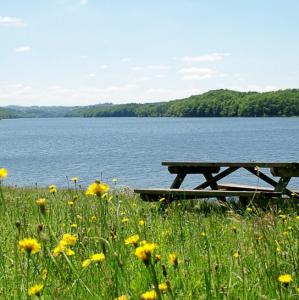 france/auvergne-rhone-alpes/lac-de-saint-etienne-cantales