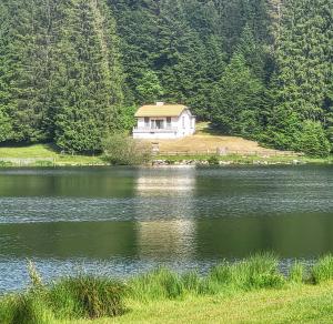 france/auvergne-rhone-alpes/lac-genin